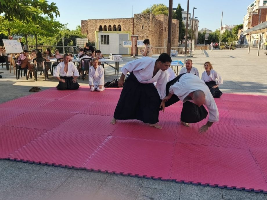 Festa Major Terrassa 2026