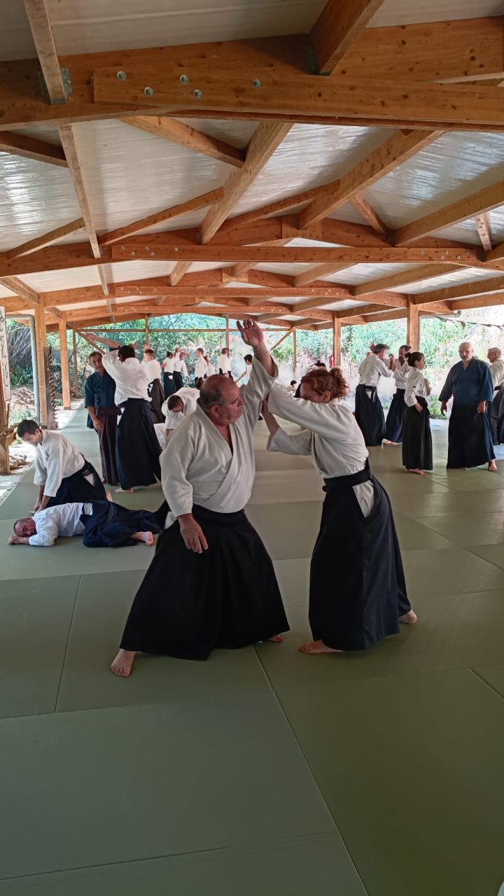 Seminario Mutokukai Hombu Dojo Aikido Iai Kenjutsu Arenys de Munt 2026